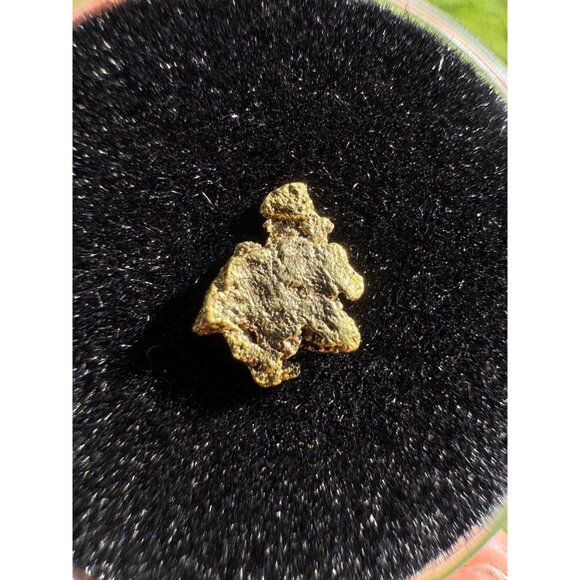 California Native Gold Crystal - 0.27 grams - Picture 3 of 6